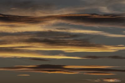 Il cielo è la più antica tipografia del mondo che stampa quotidianamente pagine e pagine di nuvole.
(Fabrizio Caramagna)