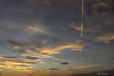 Fuori s’estende la terra vuota fino all’orizzonte, s’apre il cielo dove corrono le nuvole. Nella forma che il caso e il vento danno alle nuvole l’uomo è già intento a riconoscere figure: un veliero, una mano, un elefante…
(Italo Calvino)
