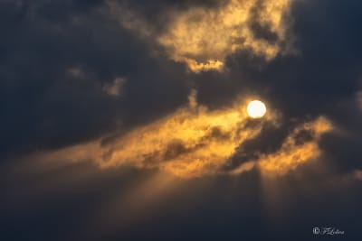 L’aria lassù tra le nuvole è molto pura e fine, frizzante e deliziosa. E perché non dovrebbe esserlo? – È la stessa che respirano gli angeli.
(Mark Twain)
