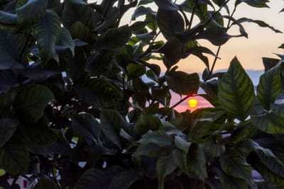 Alba al mare 6