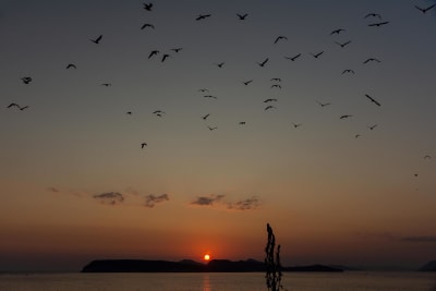 Tramonti croati 10