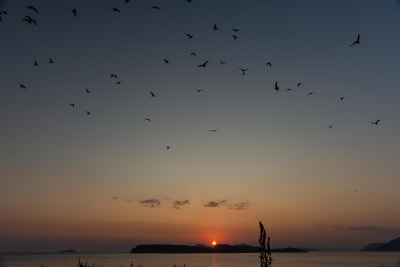 Tramonti croati 11