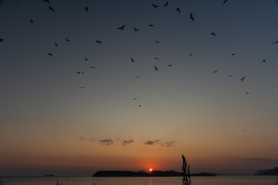 Tramonti croati 12