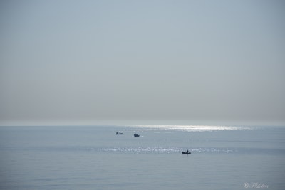 Riflessi di sole 6