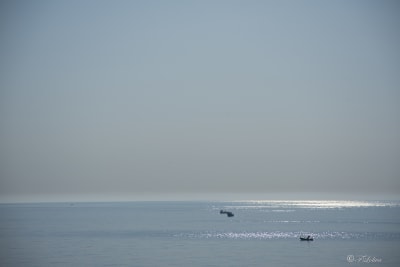 Riflessi di sole 7