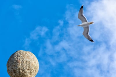 La giornata di una pietra 4