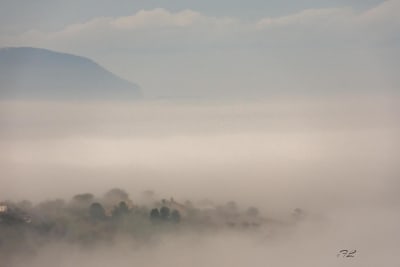 La nebbia 3