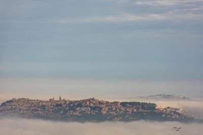 La nebbia 5