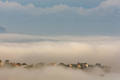 La nebbia 8