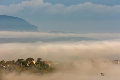 La nebbia 9