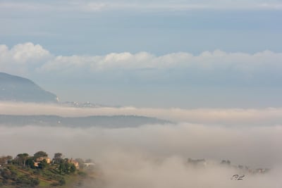 La nebbia 10