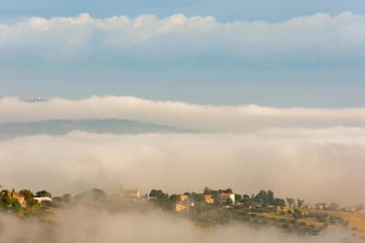 La nebbia 11