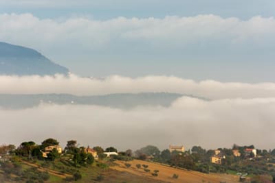 La nebbia 12