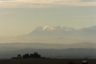 La nebbia 13
