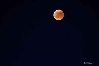 Eclissi totale di luna 7
