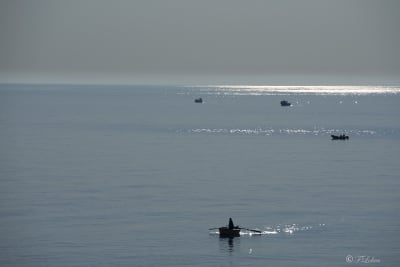 Savelletri: le prime ore del giorno 1