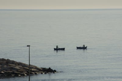 Savelletri: le prime ore del giorno 5