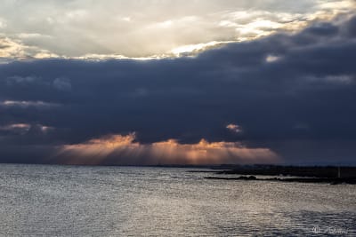 Dopo l'alba 1