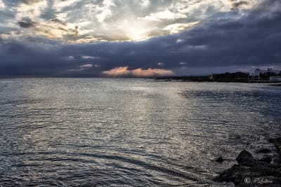 Dopo l'alba 3