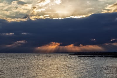 Dopo l'alba 4
