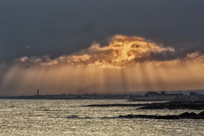 Dopo l'alba 6