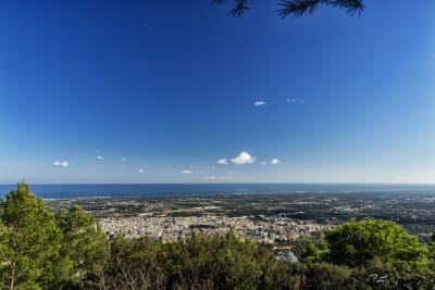 SELVA DI FASANO 2