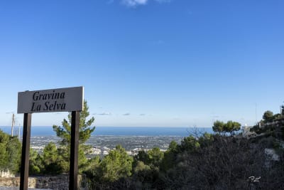 SELVA DI FASANO 4