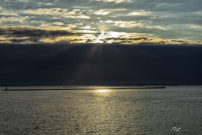 TARANTO 12