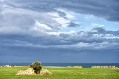 COSTA RIPAGNOLA 6