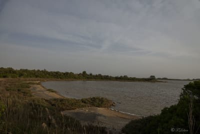 TORRE COLIMENA 15