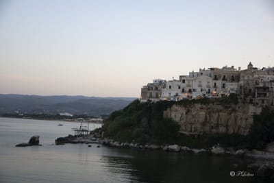 VIESTE - PESCHICI 13