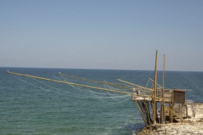 VIESTE - PESCHICI 31