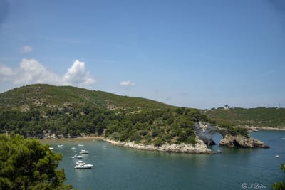 BAIA DI SAN FELICE
Piccolo paradiso immerso nel verde, la baia di san felice offre una graziosa spiaggetta (larga circa 100 mt) del basso fondale sabbioso. A completare la bellezza del tutto il bellissimo arco naturale che ne rende il paesaggio circostante davvero incantevole.