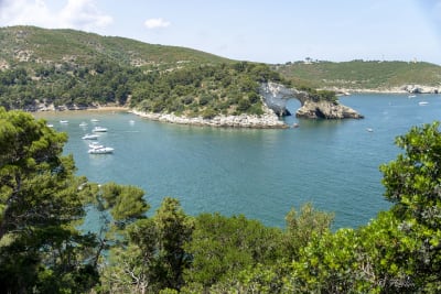 VIESTE - PESCHICI 33