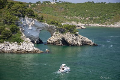 VIESTE - PESCHICI 34