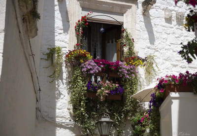 CISTERNINO - ANGOLO FIORITO