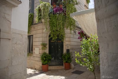 CISTERNINO - CONCORSO BORGO FIORITO 7