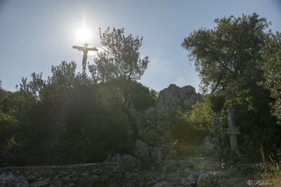 LA PIANA DEGLI ULIVI 6