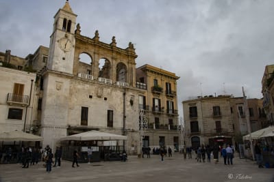 BARI 6