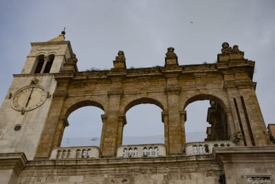 BARI 7