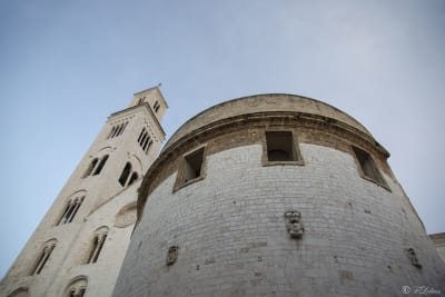 BARI 29