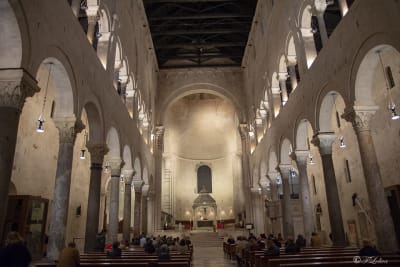 BARI 31