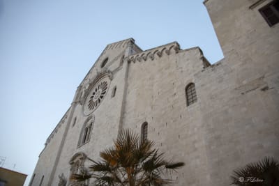 BARI 32