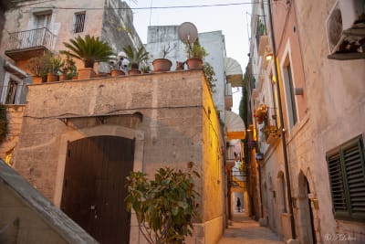 BARI 35
