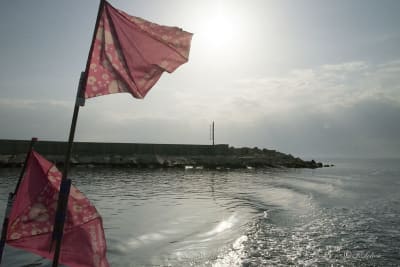 MARE