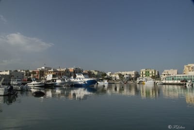 SAVELLETRI - LA PESCA CON LE RETI 44