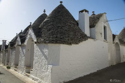 ALBEROBELLO 6