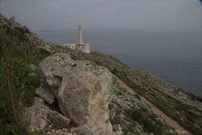 BASSO SALENTO 6