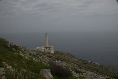 BASSO SALENTO 7