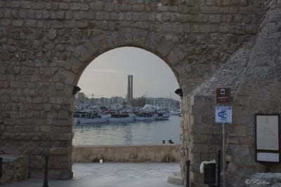 MONOPOLI 6